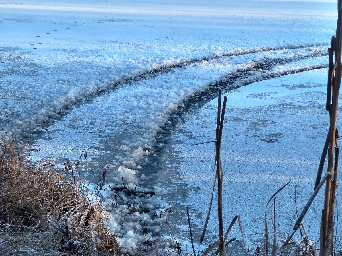 озеро свитязь в гродненской области