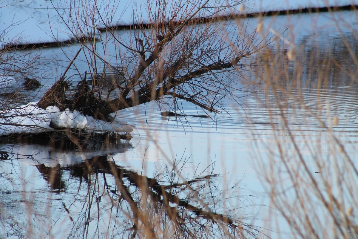 Фото авторов