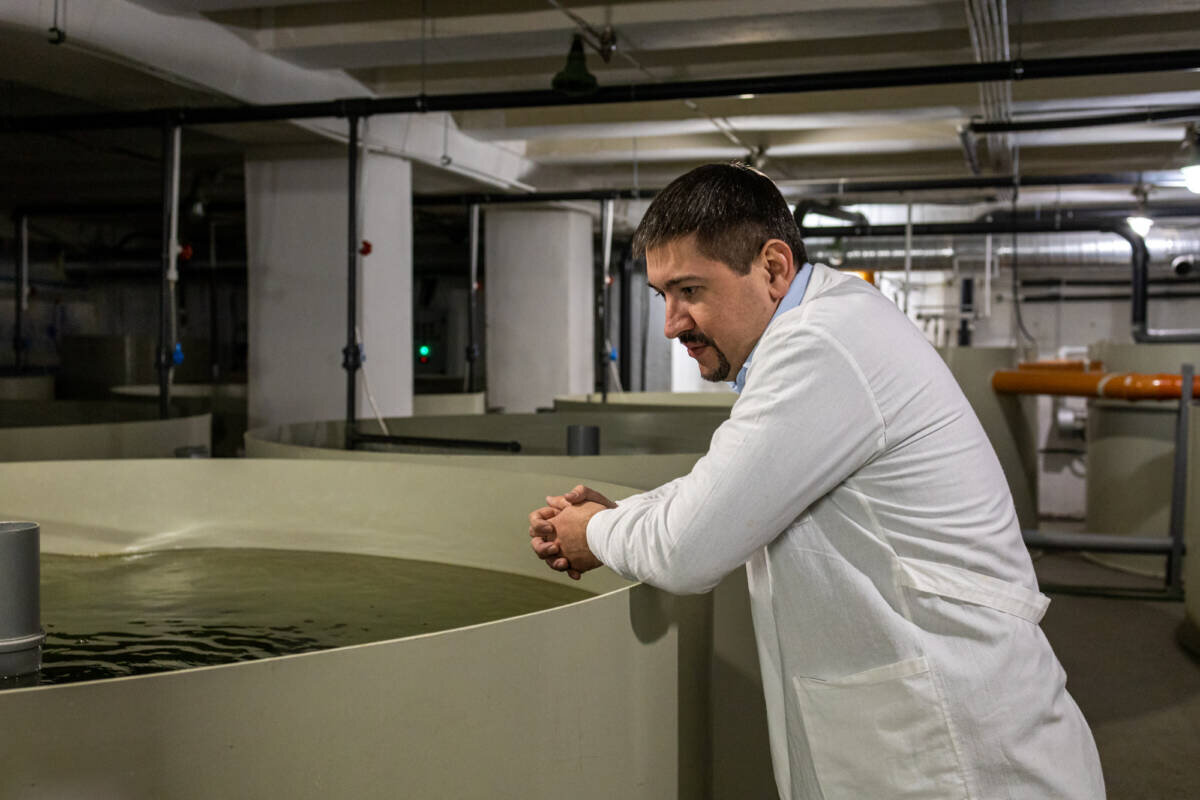 Дмитрий Троицкий, основатель и руководитель предприятия «Дары Волги».