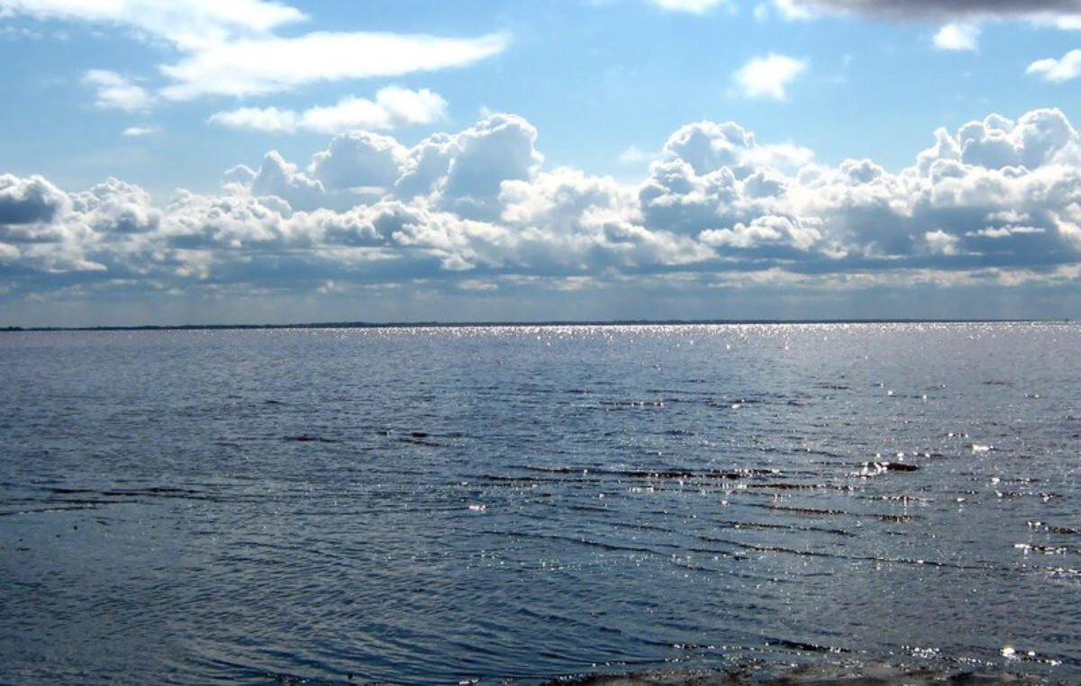 Кулундинское озеро Алтайский край. Кулундинское соленое озеро. Кулундинское озеро на Алтае. Озеро большое Кулундинское Алтайский край. Кулундинское озеро алтайский