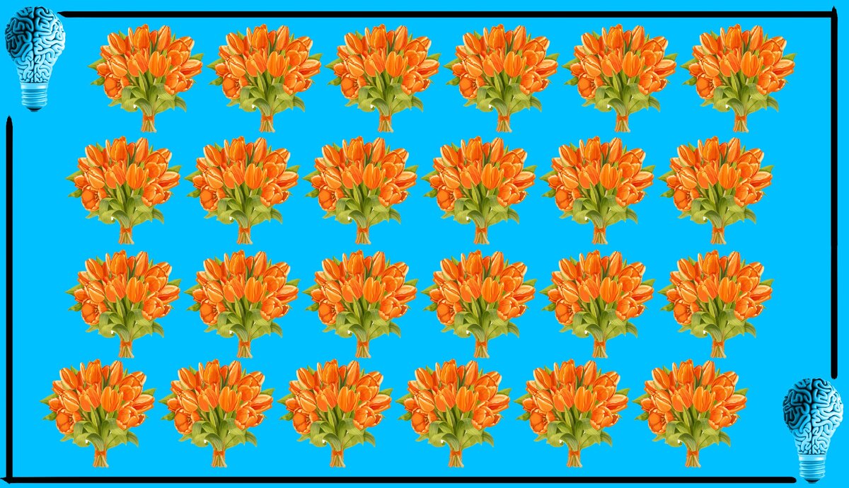 Нашли  лишний букет? Авторская картинка.