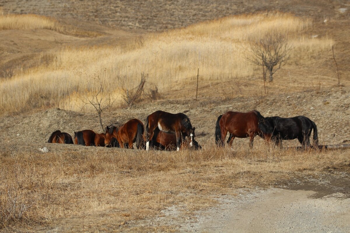 © МИР В ОБЪЕКТИВЕ/ СЕ ЧЕЛОВЕК