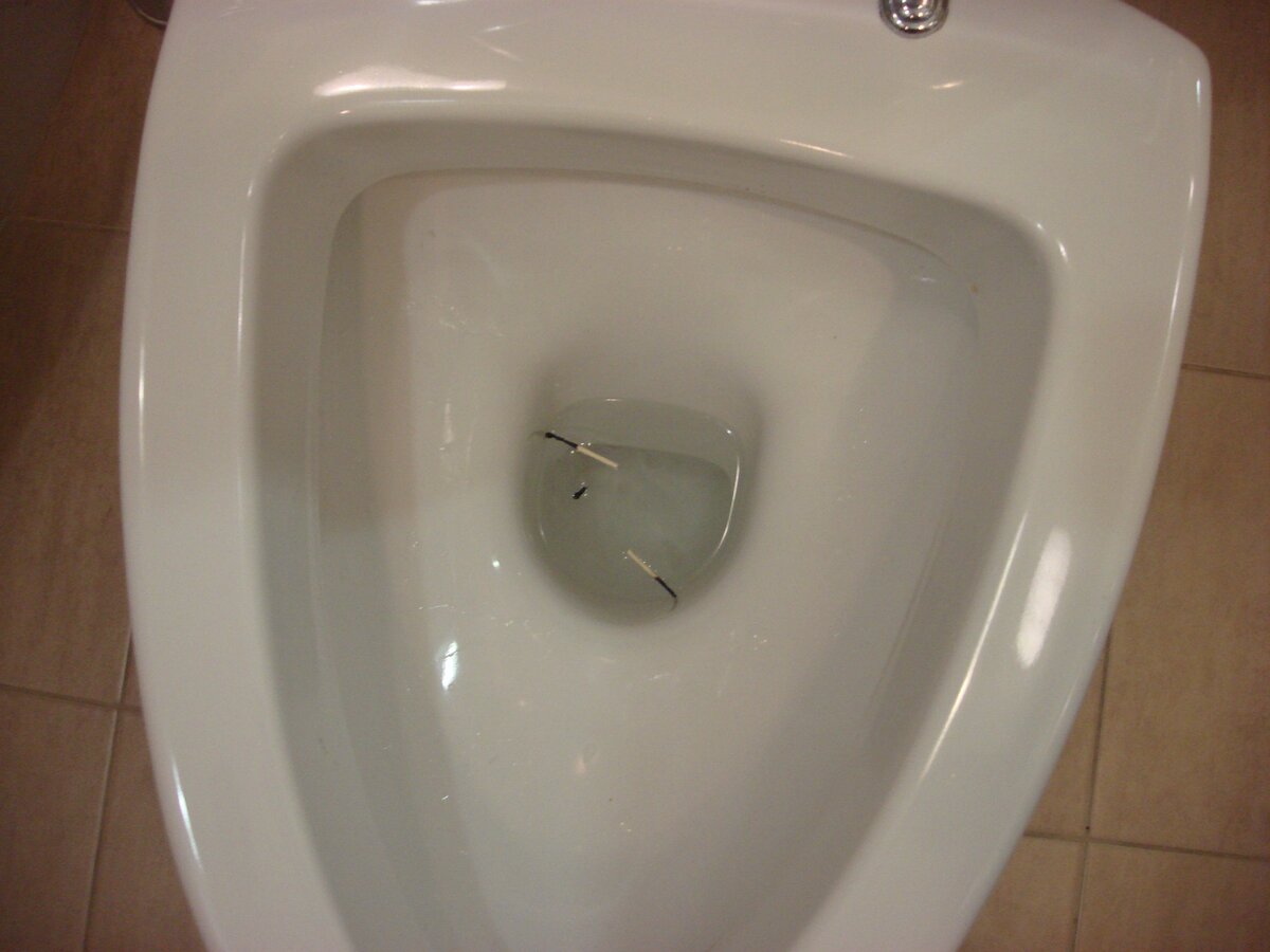 Фото сделано автором (отправила в унитаз)