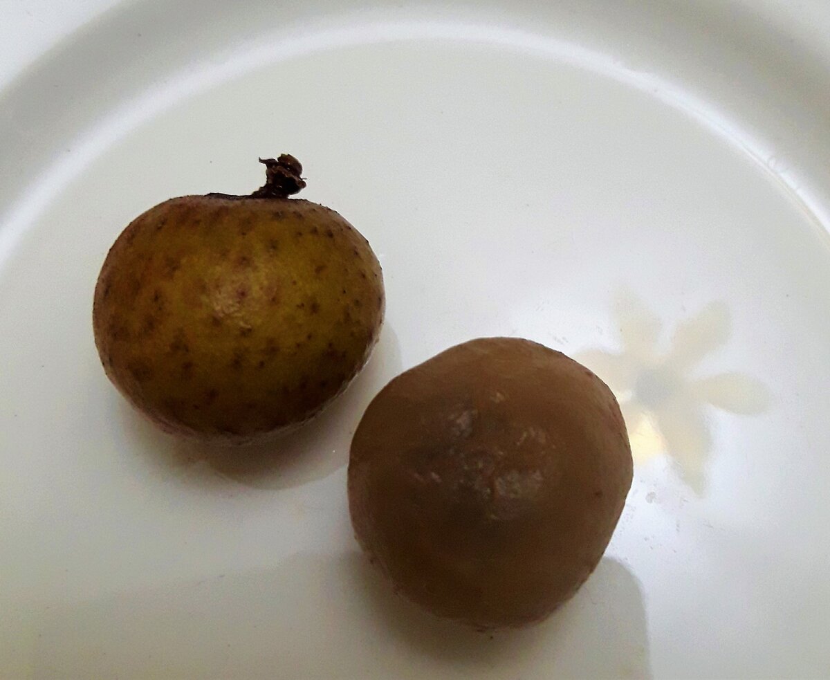 Купила в Магните азиатский фрукт за 179 руб., который подвержен исчезновению в природе, рассказываю, что он из себя…