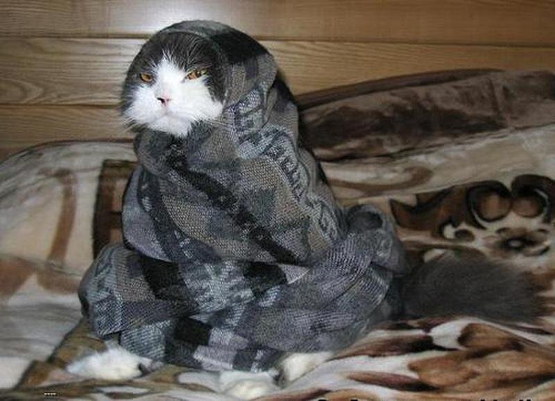 Почти я!!!)