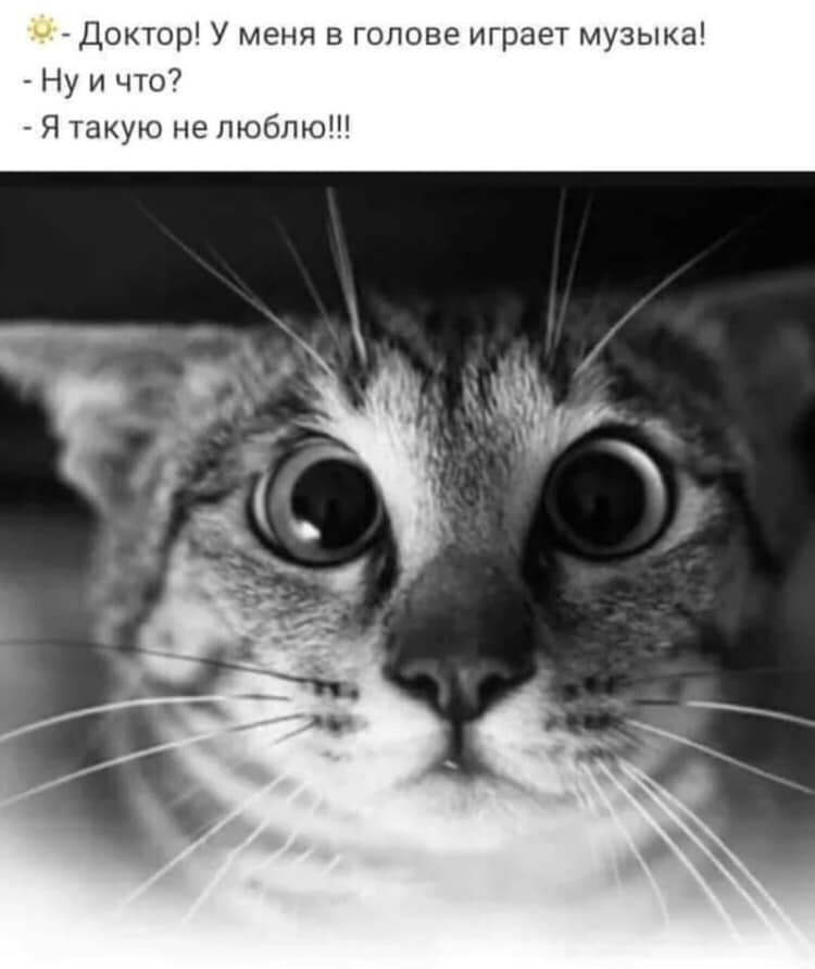 из интернета