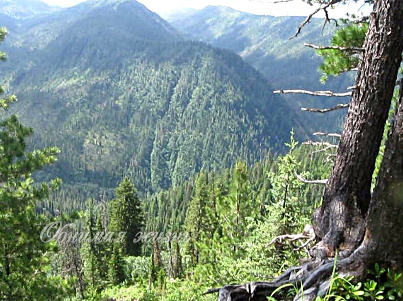 Хамар Дабан высота над уровнем моря