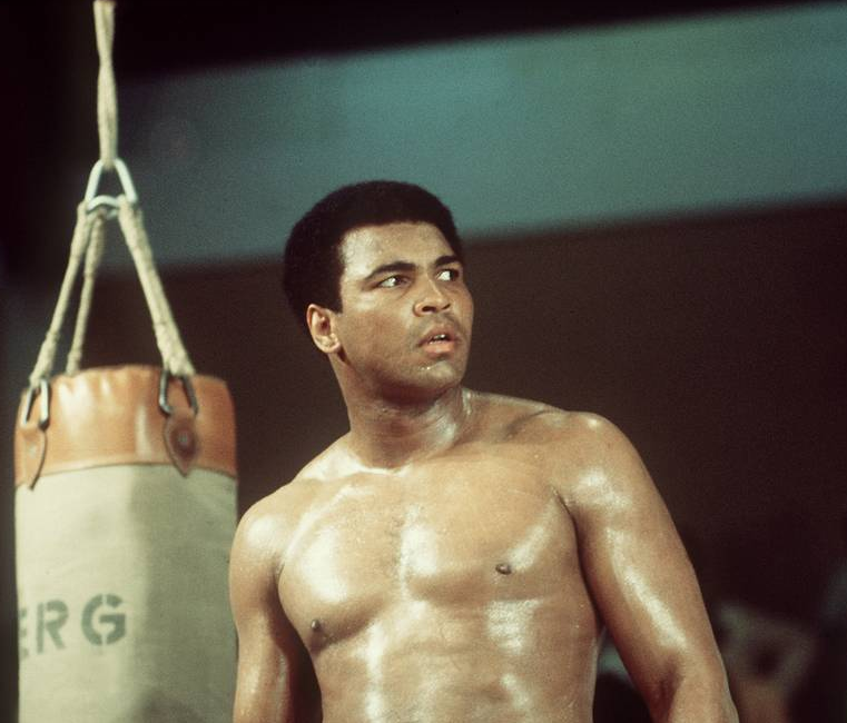 фото из открытых источников 