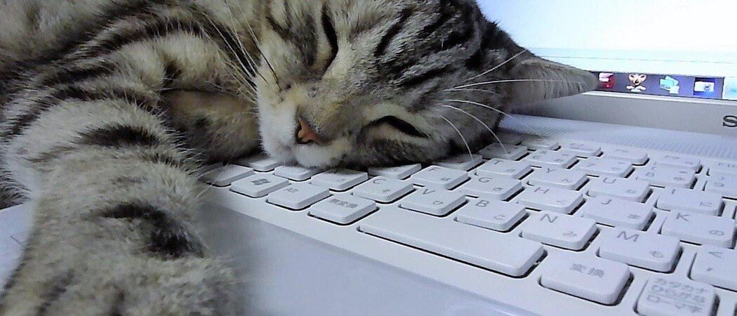 источник - https://Fkonnichiwa.ru