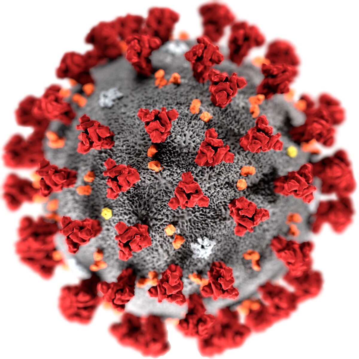 Коронавирус 