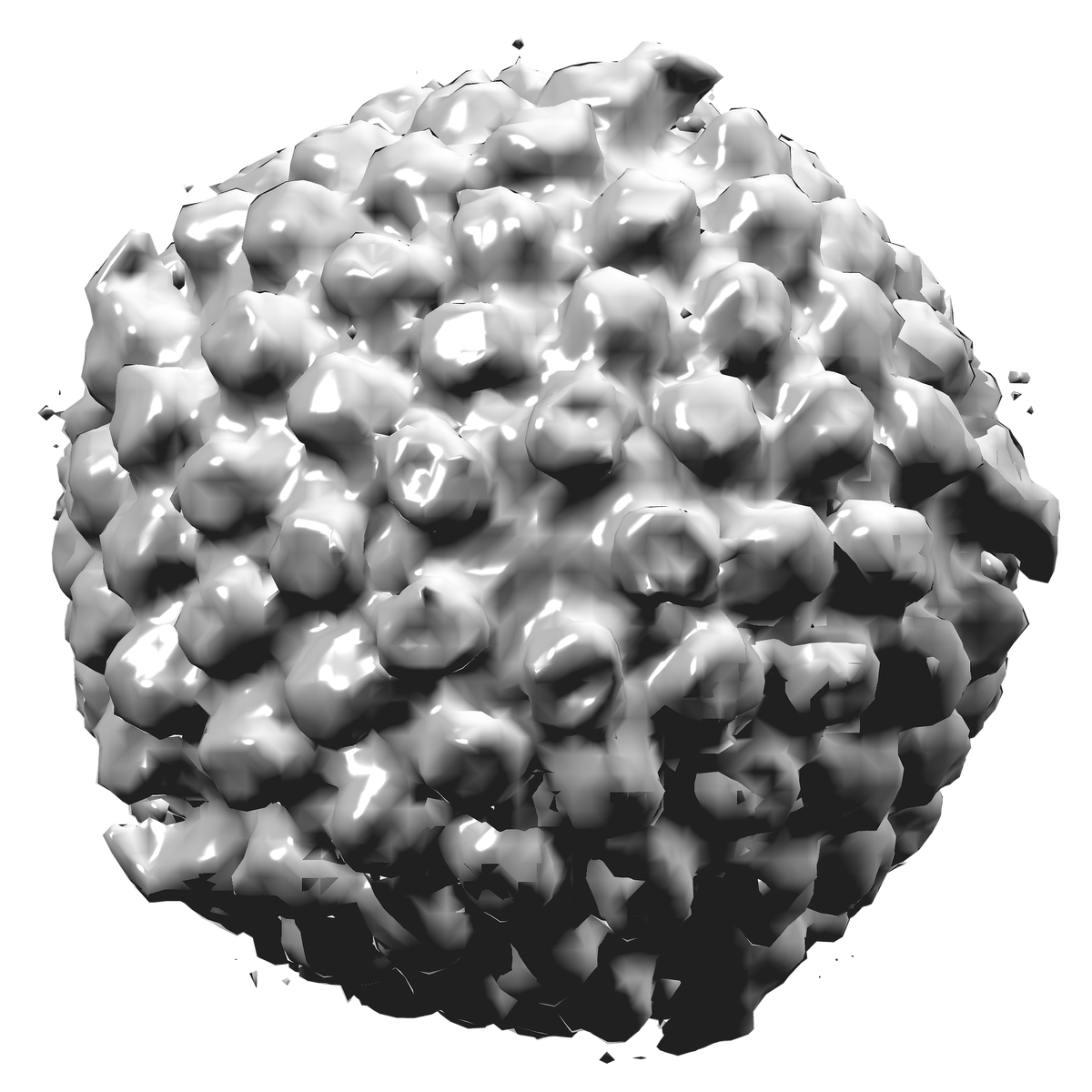 Вирус простого  герпеса 3D модель