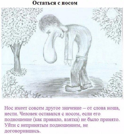Остаться с носом новости