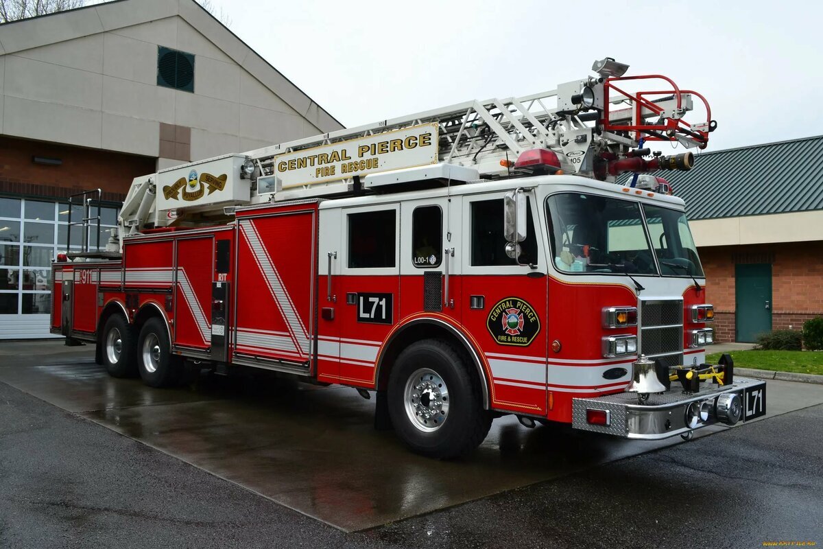 Фото из открытого источника