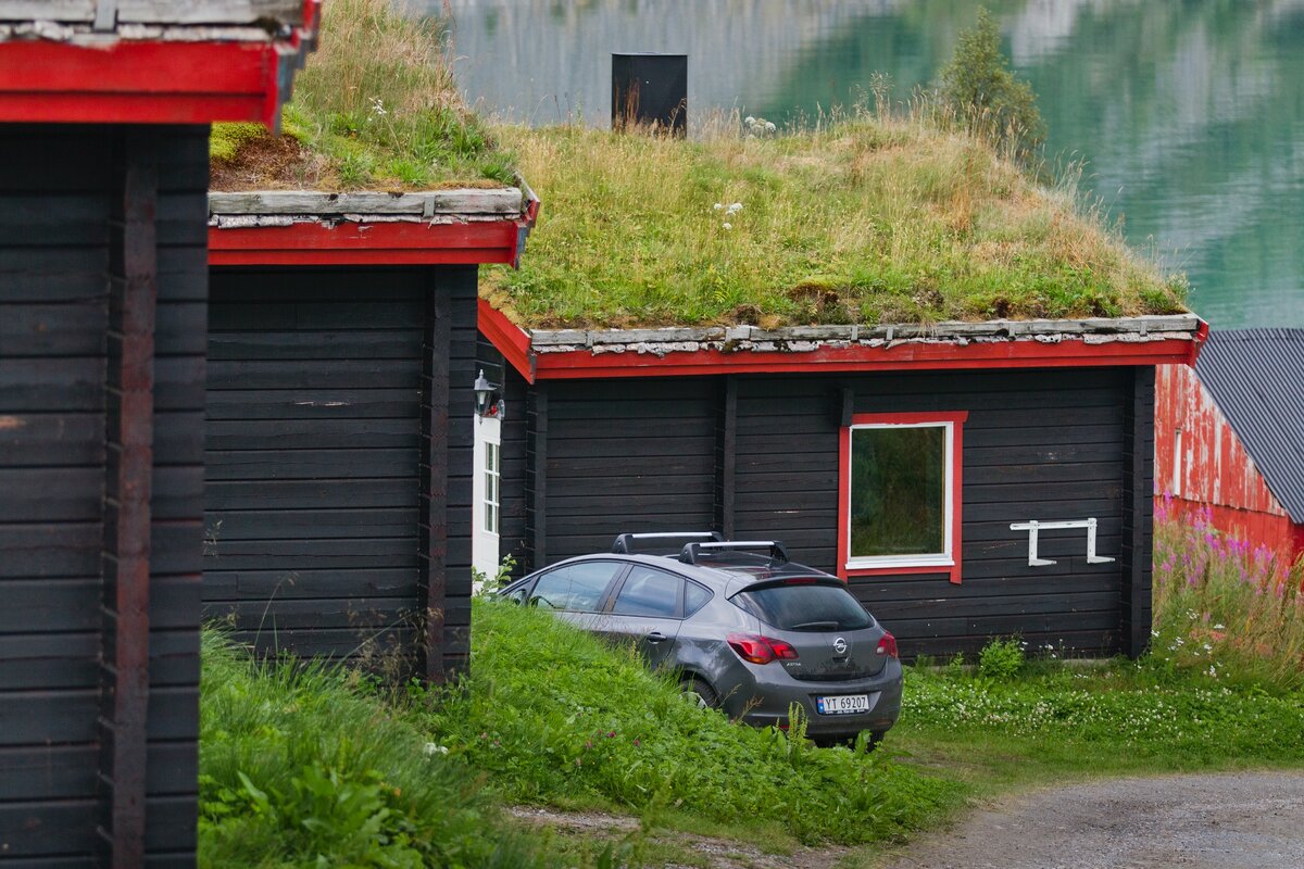 Почему в Норвегии на крышах растет трава?