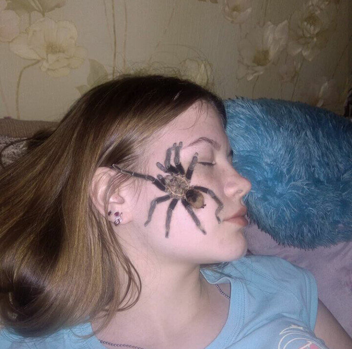 Селфи с пауком