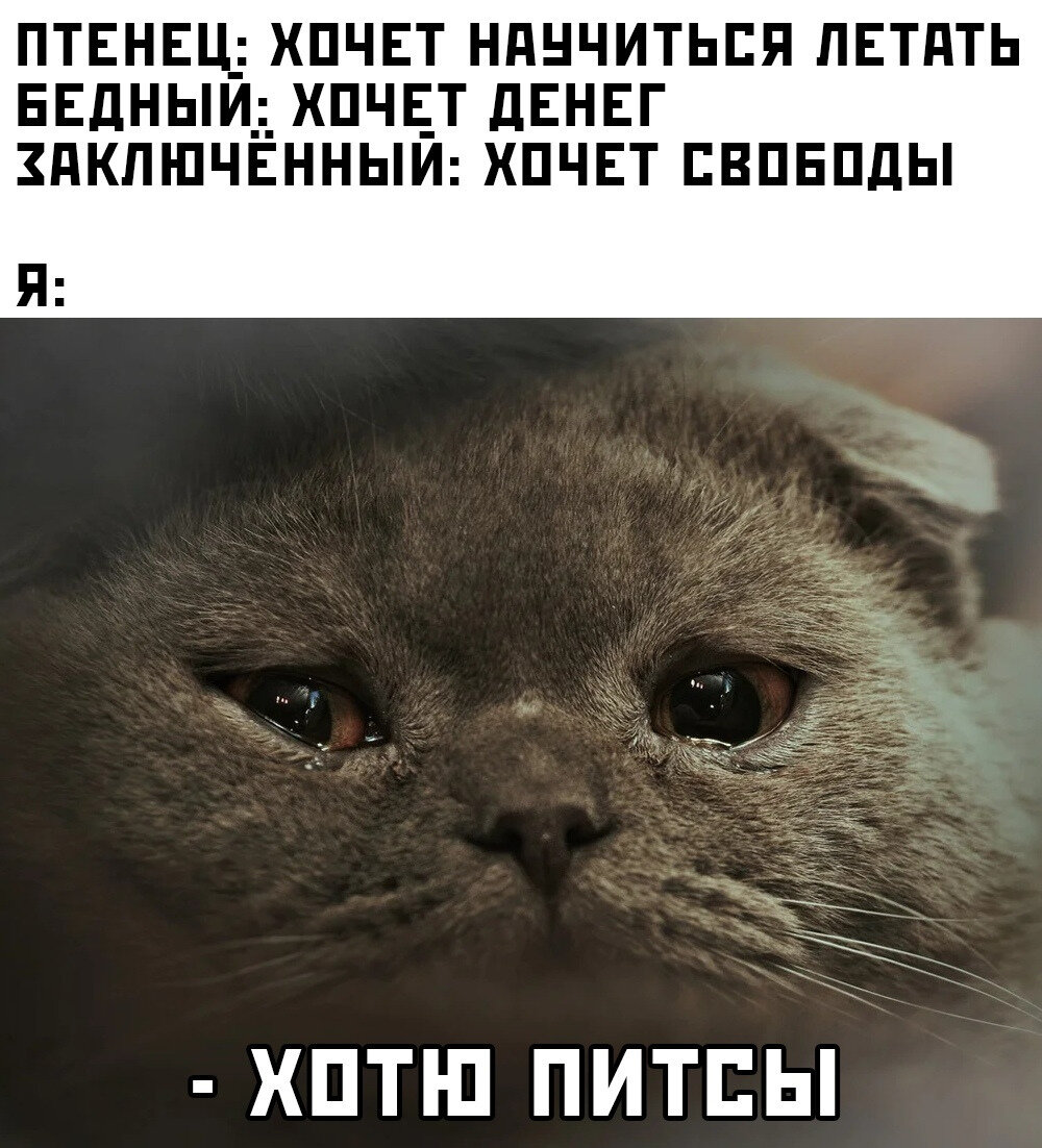 Картинка взята с сервиса Яндекс.картинки