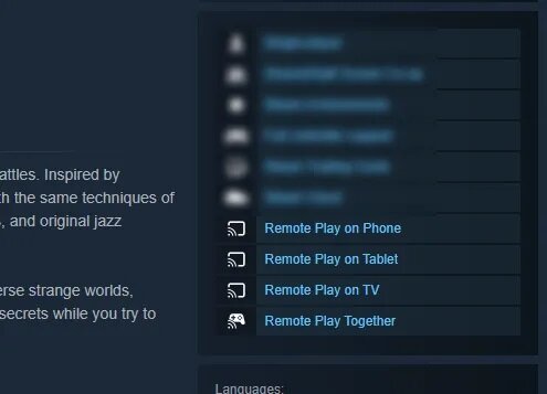 Steam Remote Play