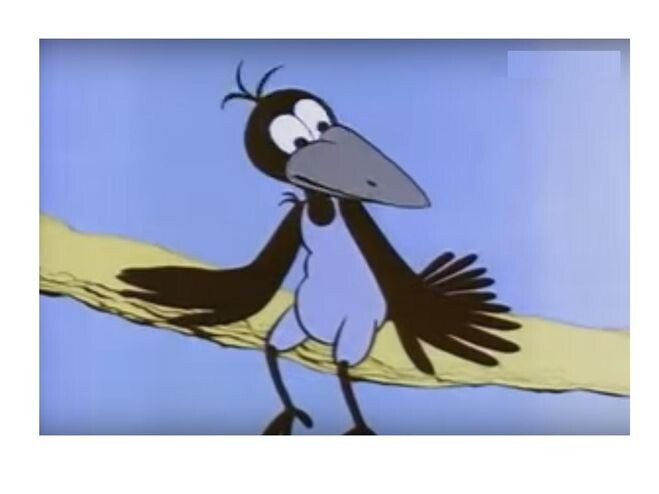 Фото из открытых источников.