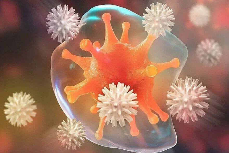 Иммунная система