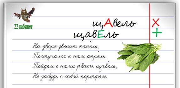 Схема слова щавель