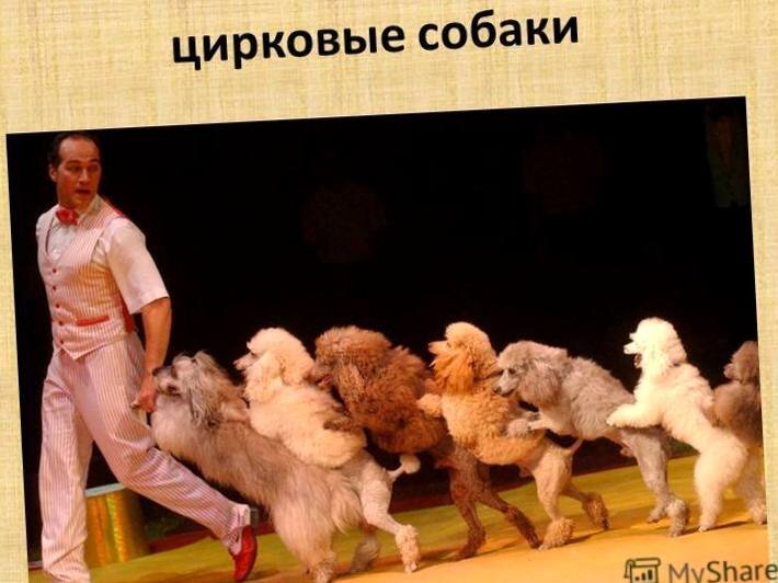 Взято из открытых источников