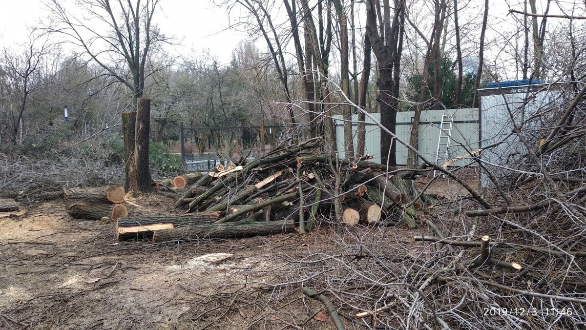 парк им.Гагарина (фото с сайта https://vesti-k.ru/)