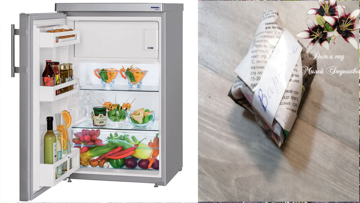 Хранение гладиолусов в холодильнике