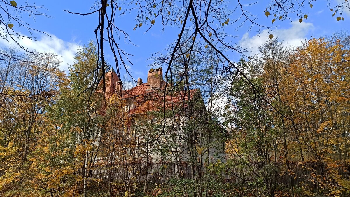 Каменный остров