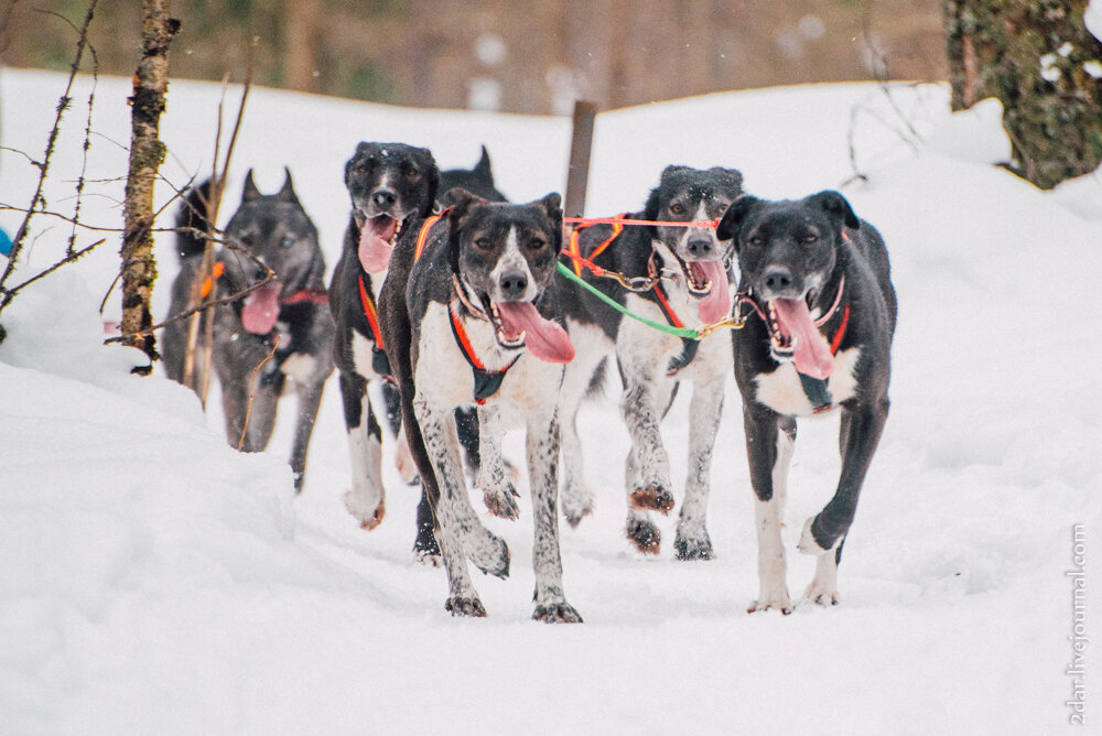 Фото взято из открытых источников