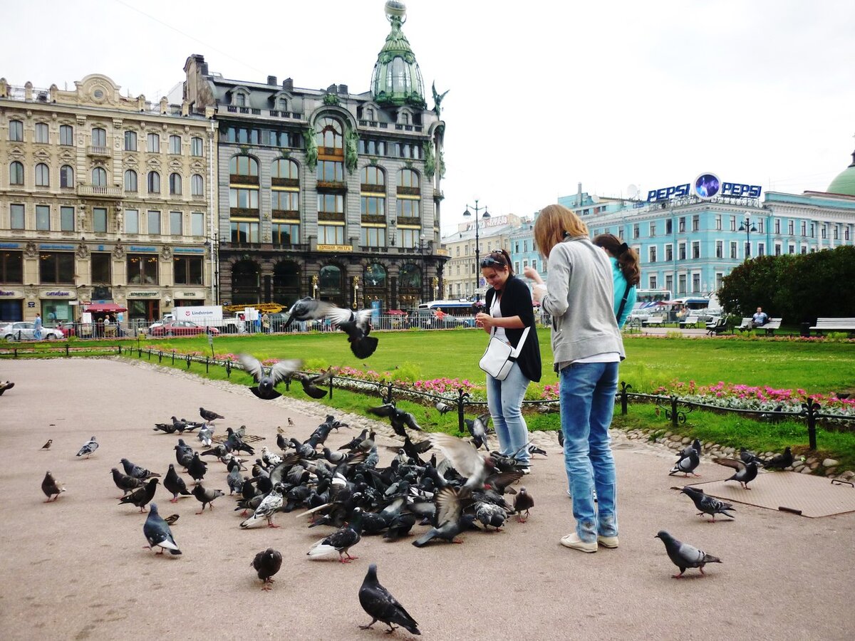 Фото в галерее - автора