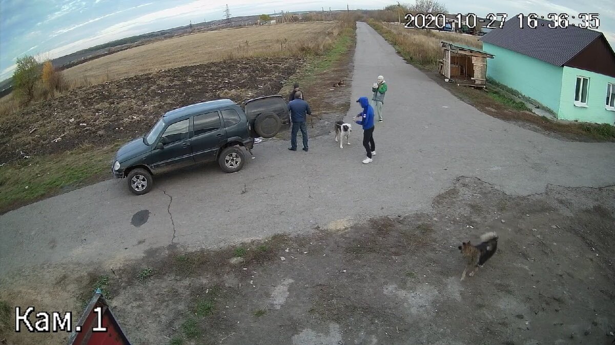 Фото с видеокамеры в реальном времени!