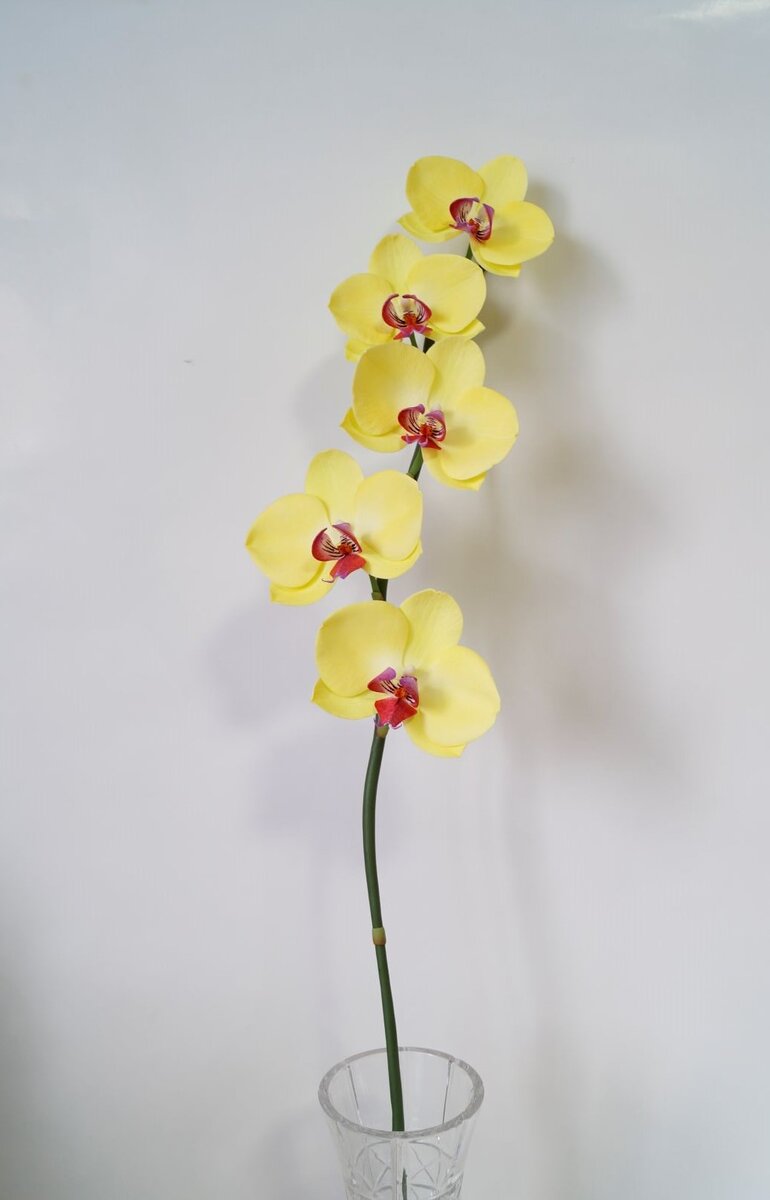Лепим нежную орхидею