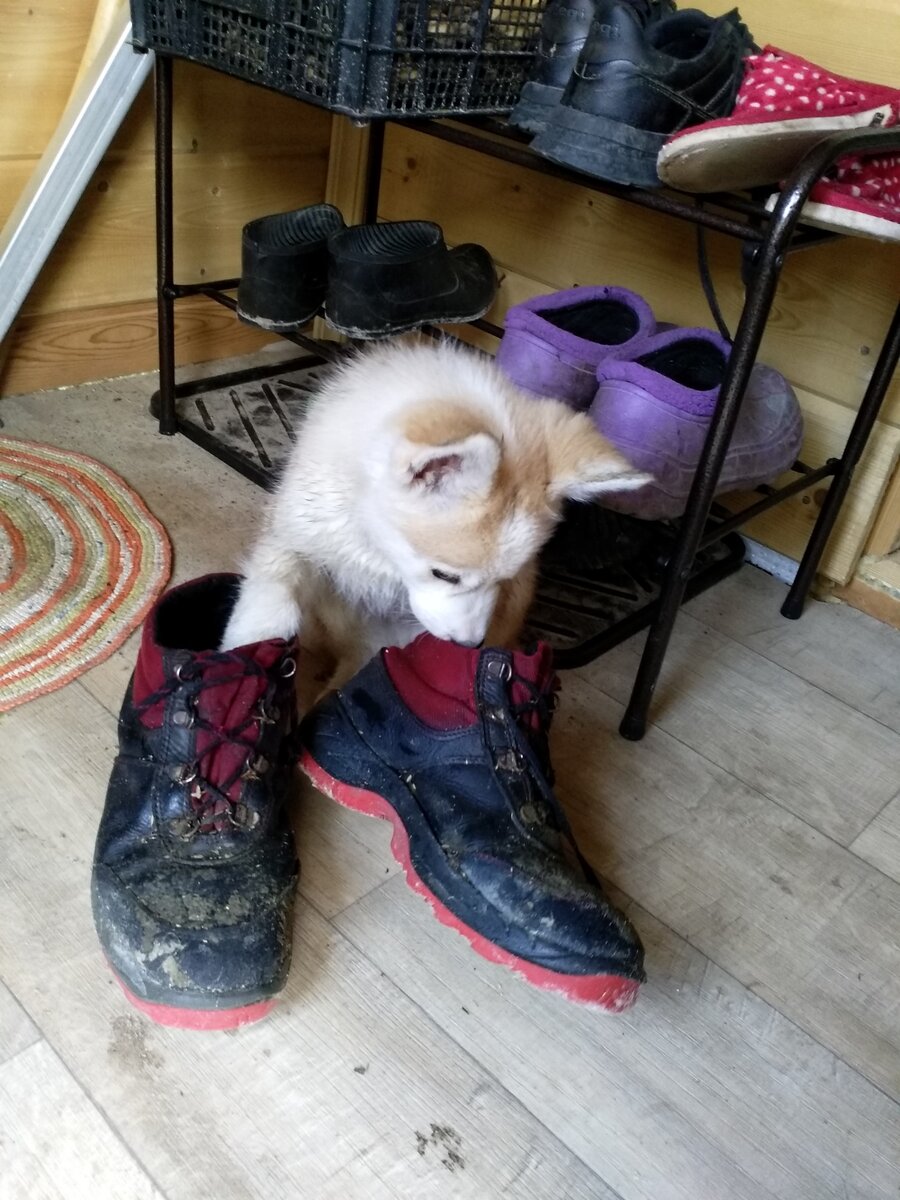 Оверсайз нынче в моде