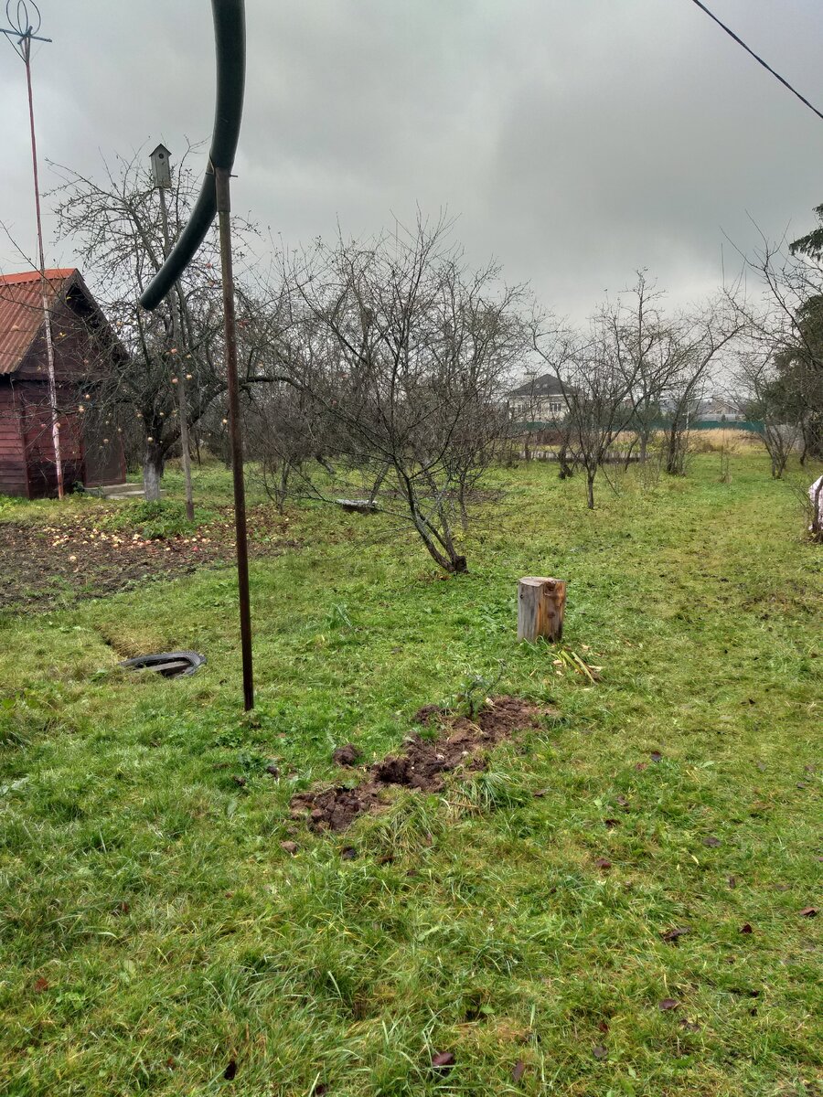 Фото автора.