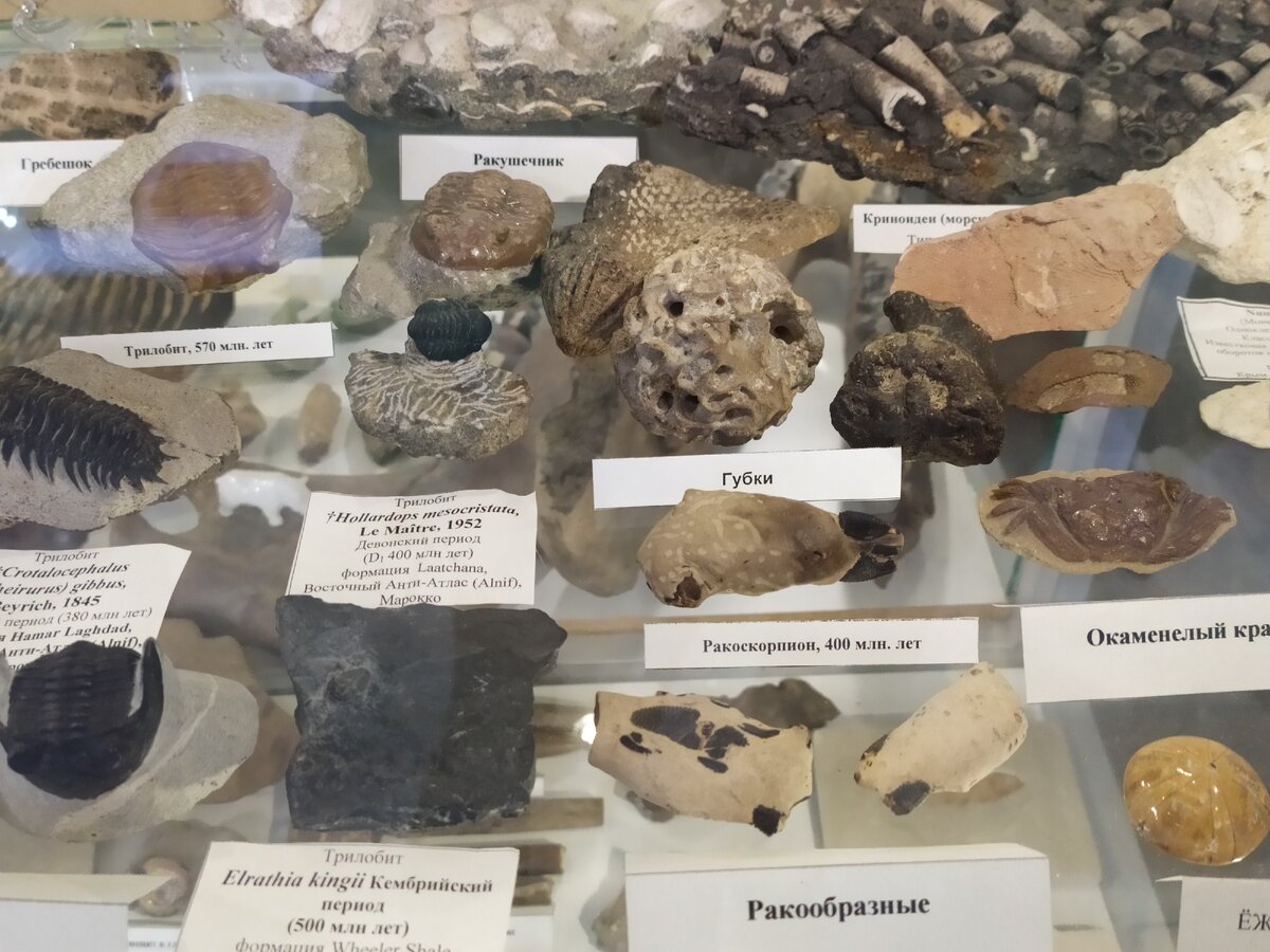 личное фото автора