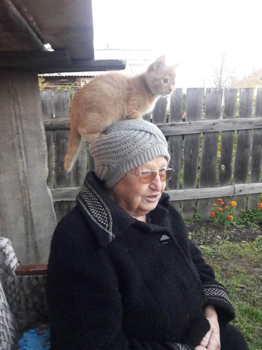  Любопытный Боня в детстве. Фото автора