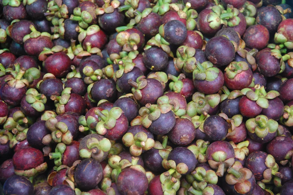 Изображение взято из открытого источника. 