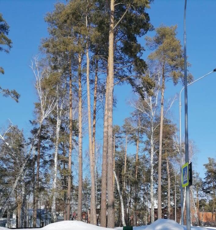 фото из личного архива.