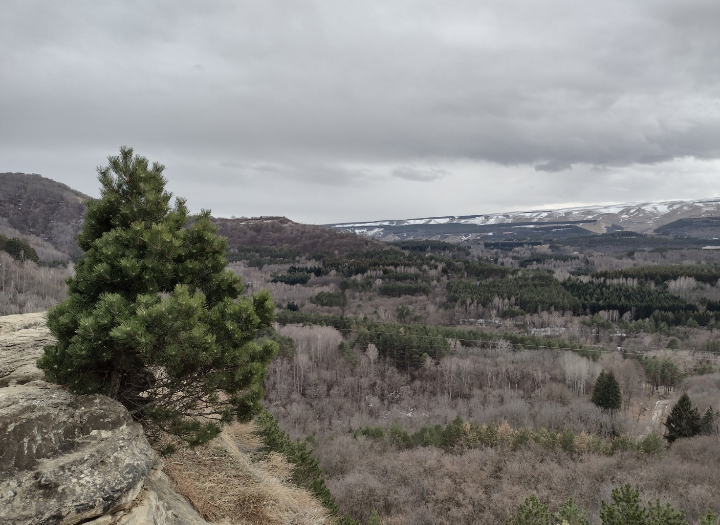 Сколько величия и красоты в нашем мире (Кисловодск, фото автора)