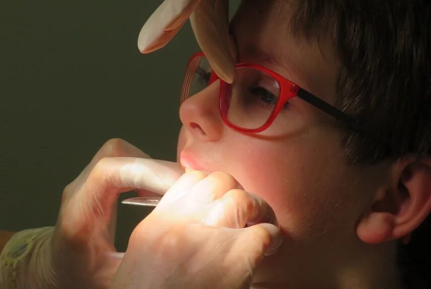 Фото: pixabay.com