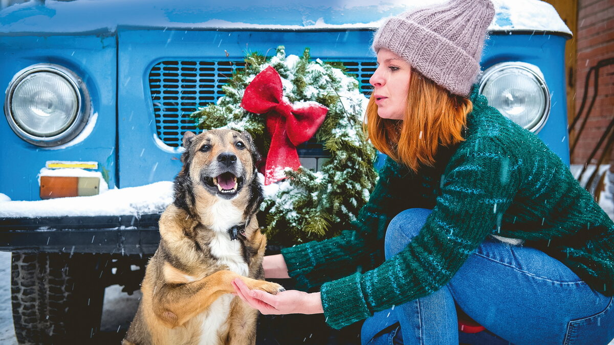 Алена Добрунова