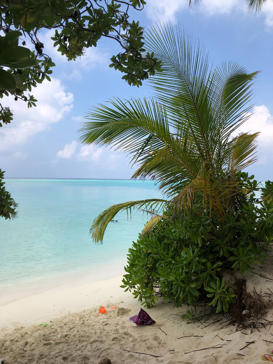 Пляж Тооду, Мальдивы