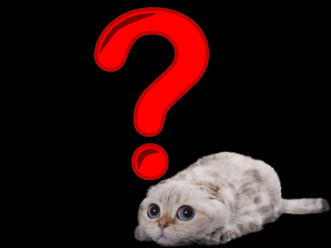 Из интернета