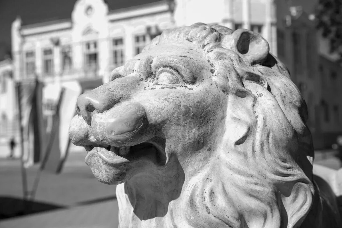 Лев исправно несёт службу – охраняет храм знаний