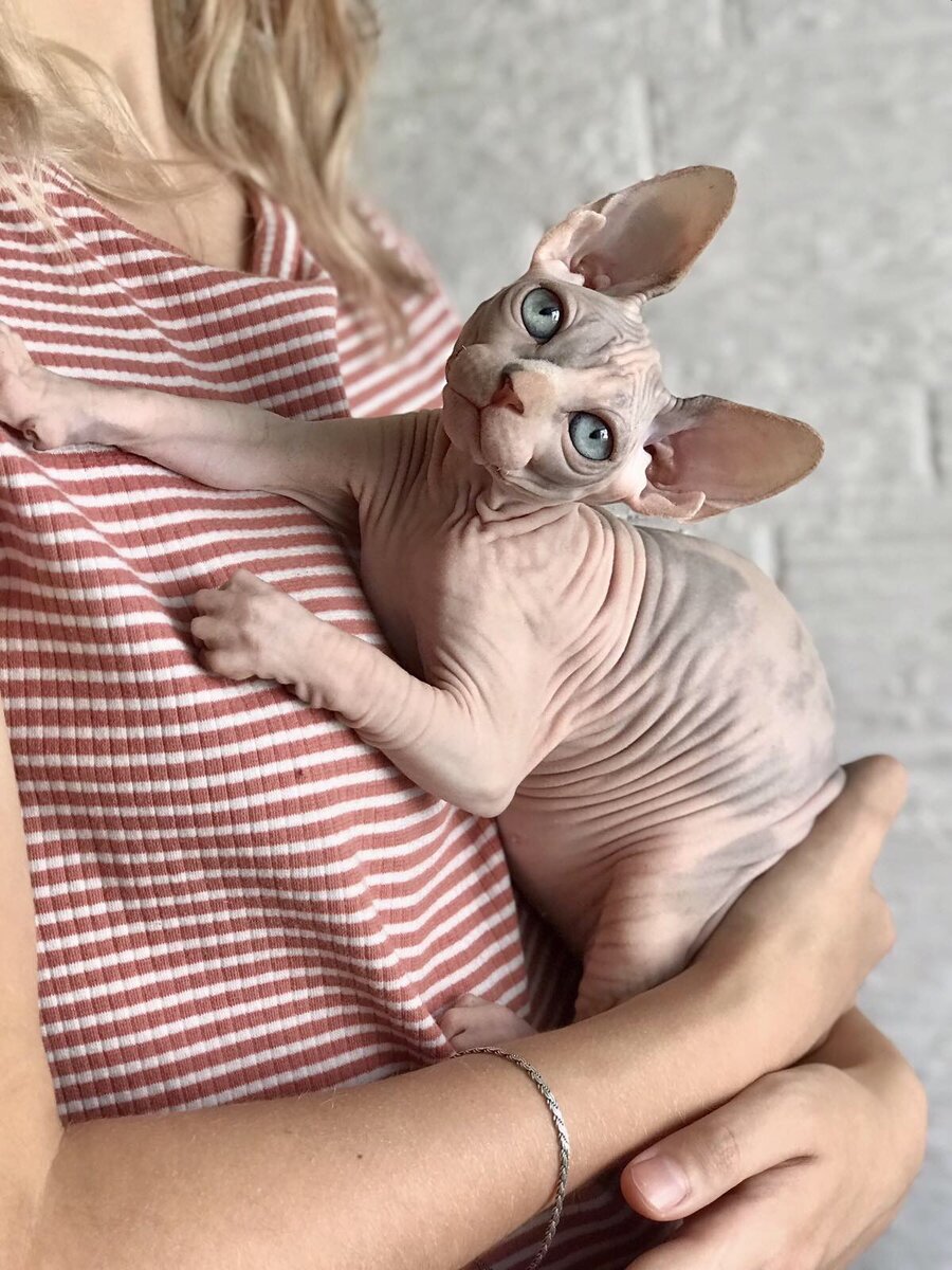 Моя выпускница Манюша💗шикарная девочка