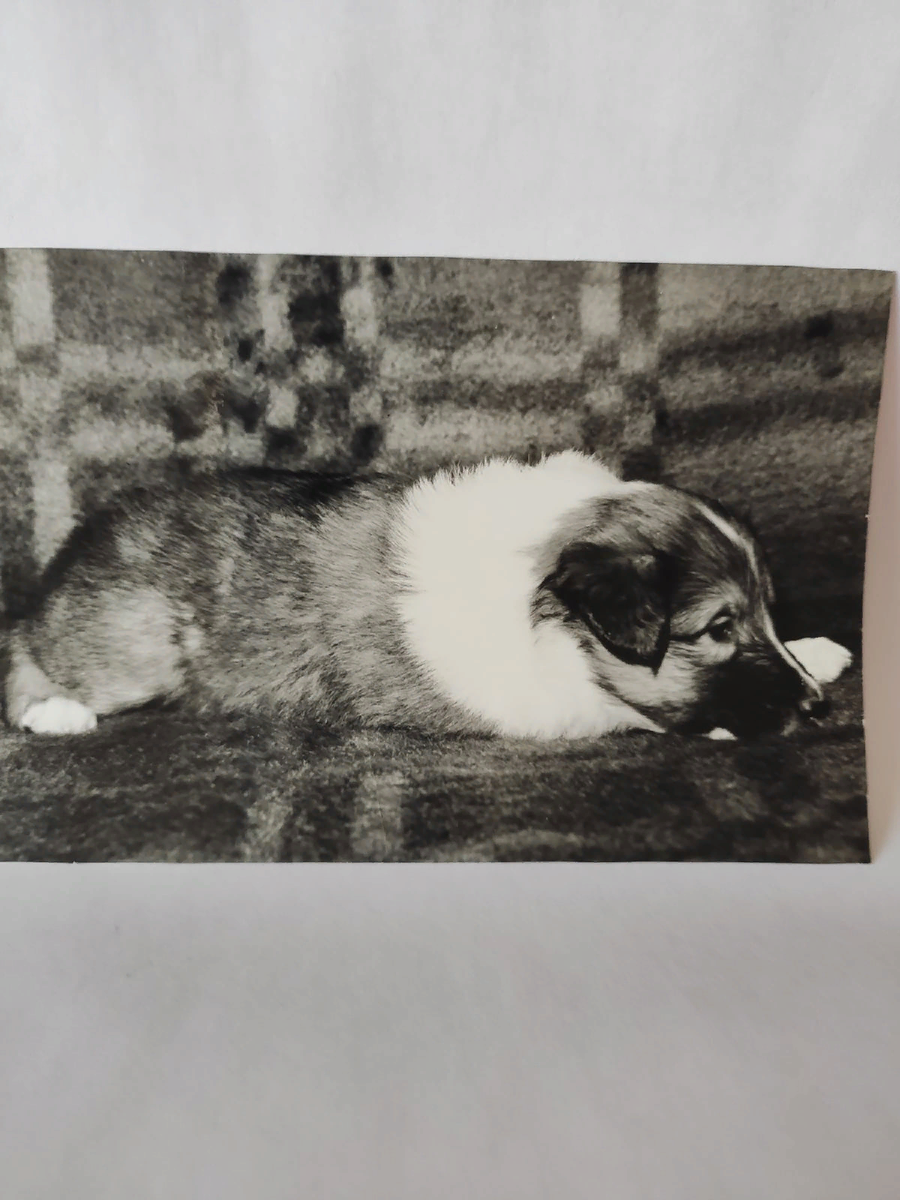 Вот такая была наша малышка