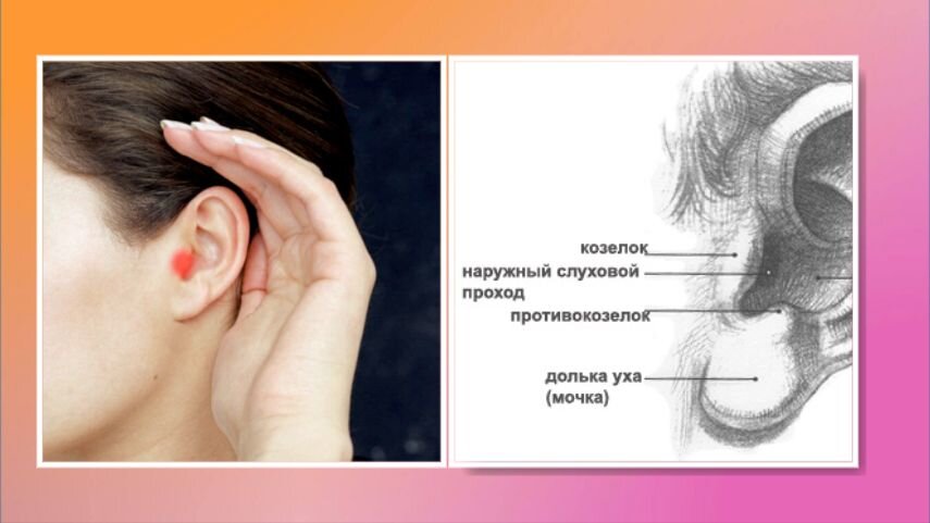 Вот он, козелок. Еще и противокозелок есть // коллаж автора, фото listratenkov.ru, guryanov-plasticsurgeon.ru