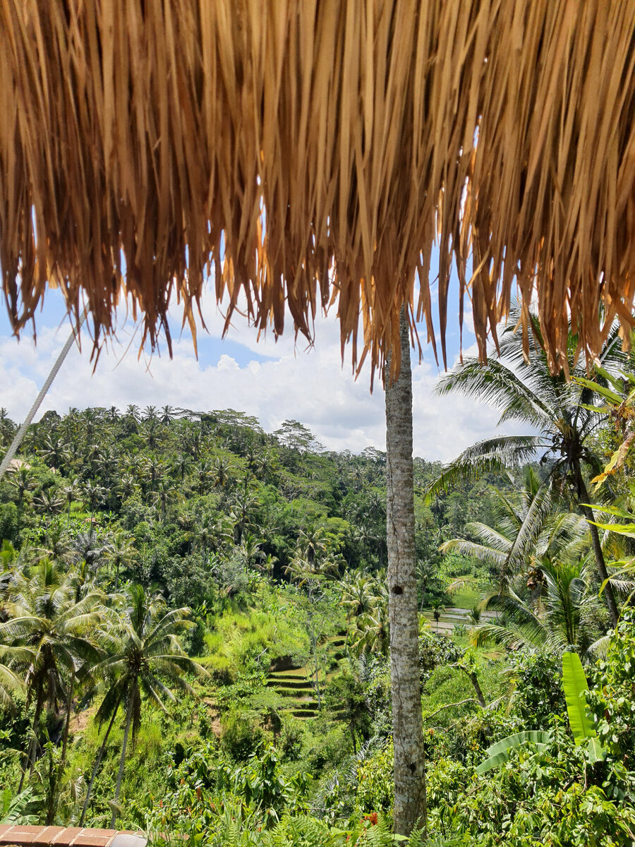 Леса - это наша защита от потепления. Лучше бы озаботились их восстановлением, а не улавливанием не пойми чего