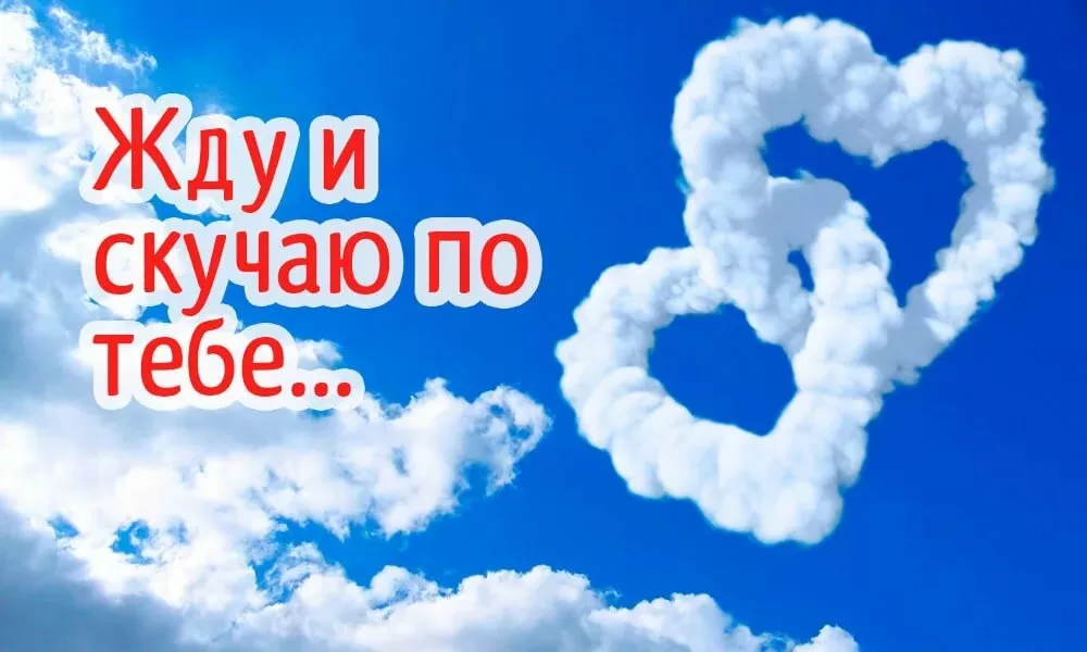 Яндекс.Картинки 