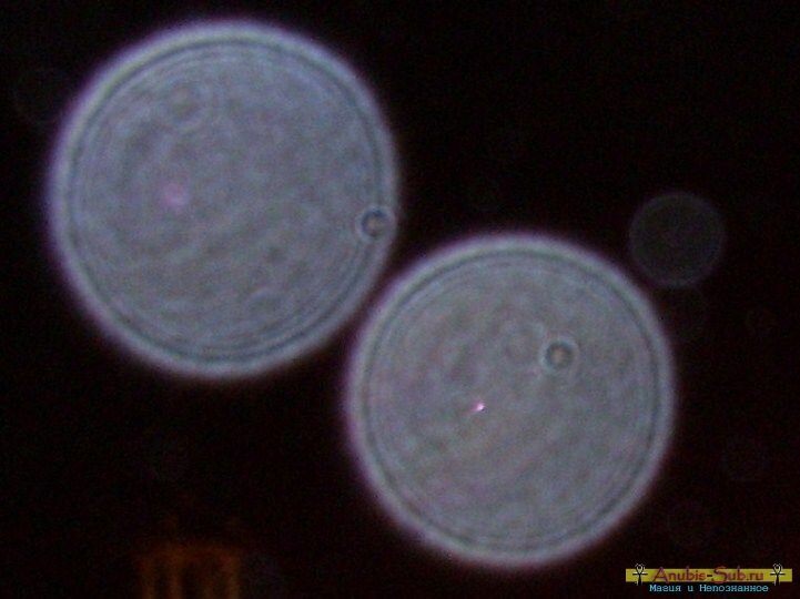 Как получить много орбов. Орбы на фотографиях. Энергетические плазмоиды. Солнечные плазмоиды. Как получить много орбов.